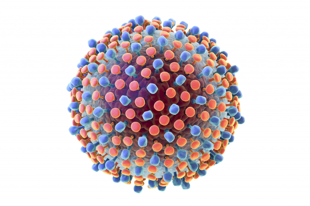 Методические рекомендации для населения по профилактике вирусного гепатита C
